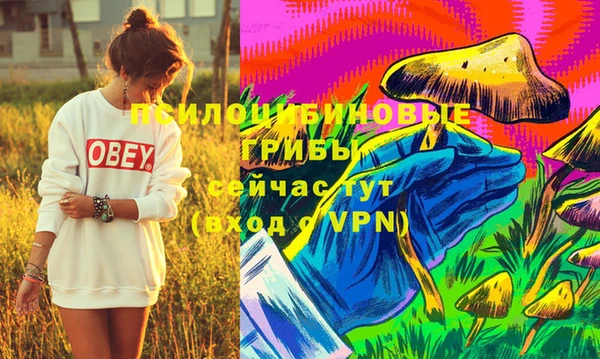 первитин Краснослободск