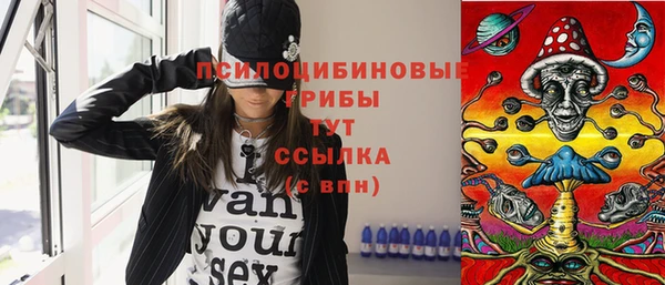твердый Кулебаки