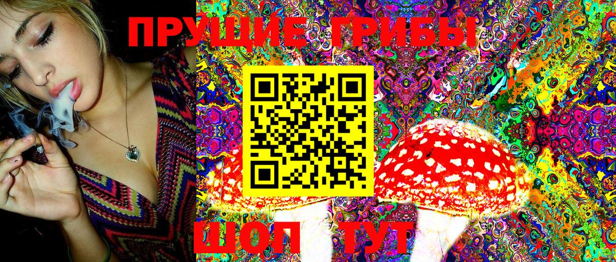 хочу   Вход с VPN  Псилоцибиновые грибы MAGIC MUSHROOMS  Петрозаводск  Галлюциногенные грибы MAGIC MUSHROOMS 